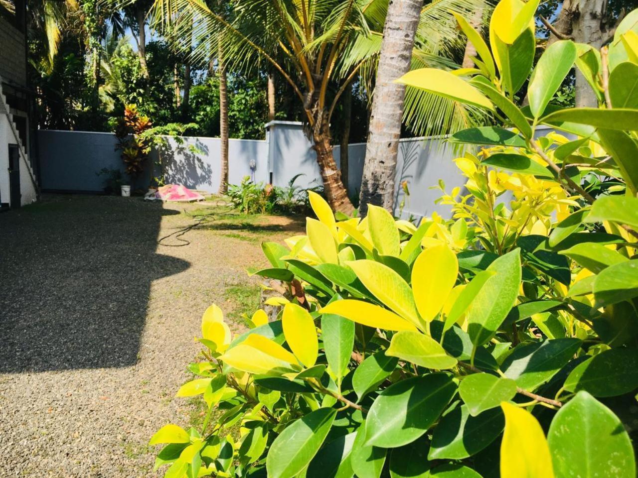 Residenza Belvedere Hikkaduwa Exterior photo
